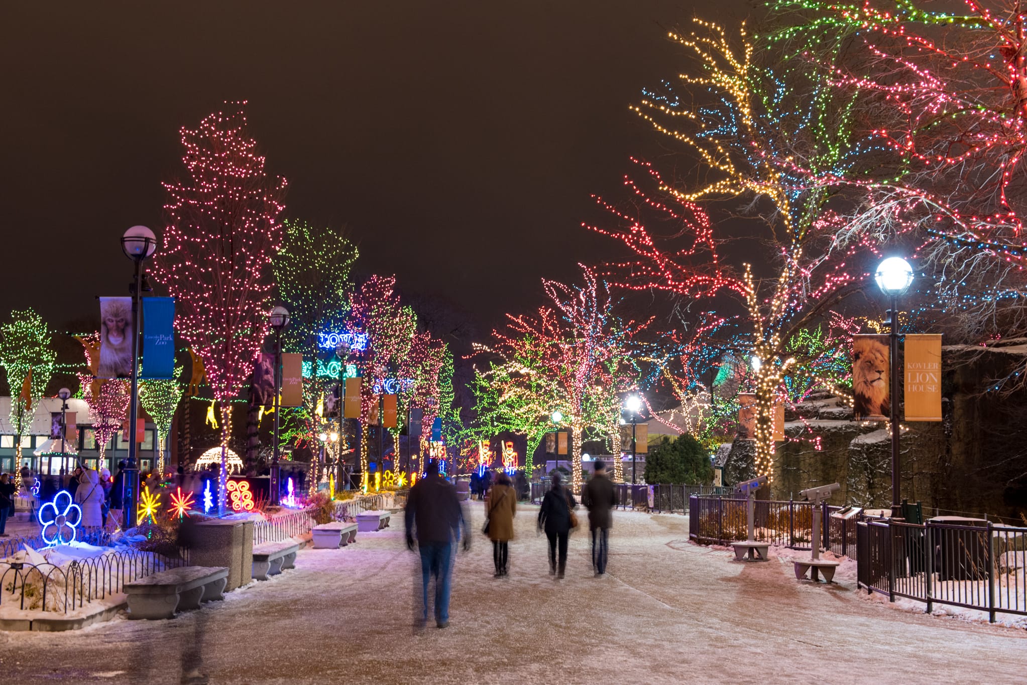 ZooLights at Lincoln Park Zoo2