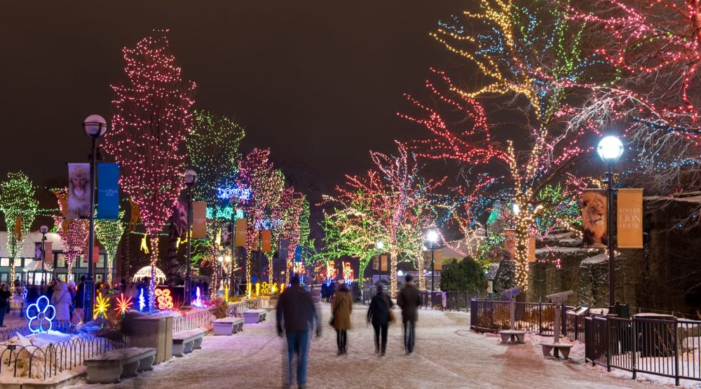 ZooLights at Lincoln Park Zoo2