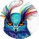 Sharon Gaza Avatar